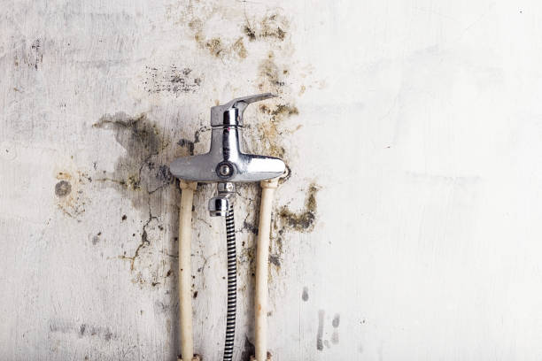 Home Mold Removal in Chewelah, WA