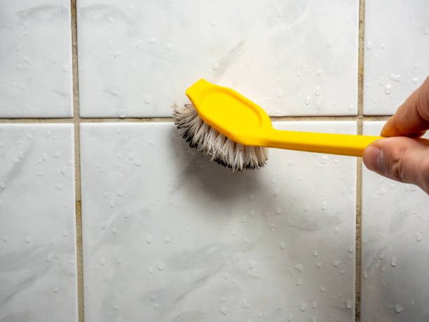 Best Office Mold Removal Services  in Chewelah, WA