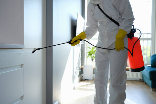 Mold Testing and Removal in Chewelah, WA