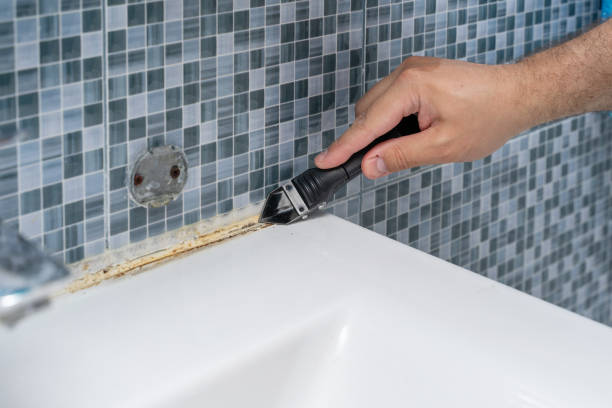 Best Best Mold Removal Companies  in Chewelah, WA