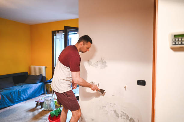 Best Mold Remediation  in Chewelah, WA